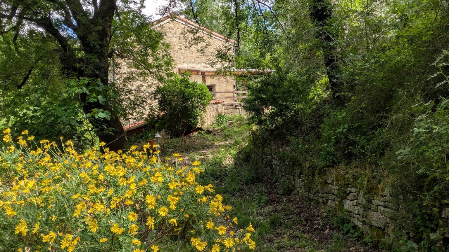 gite-moulin-cevennes